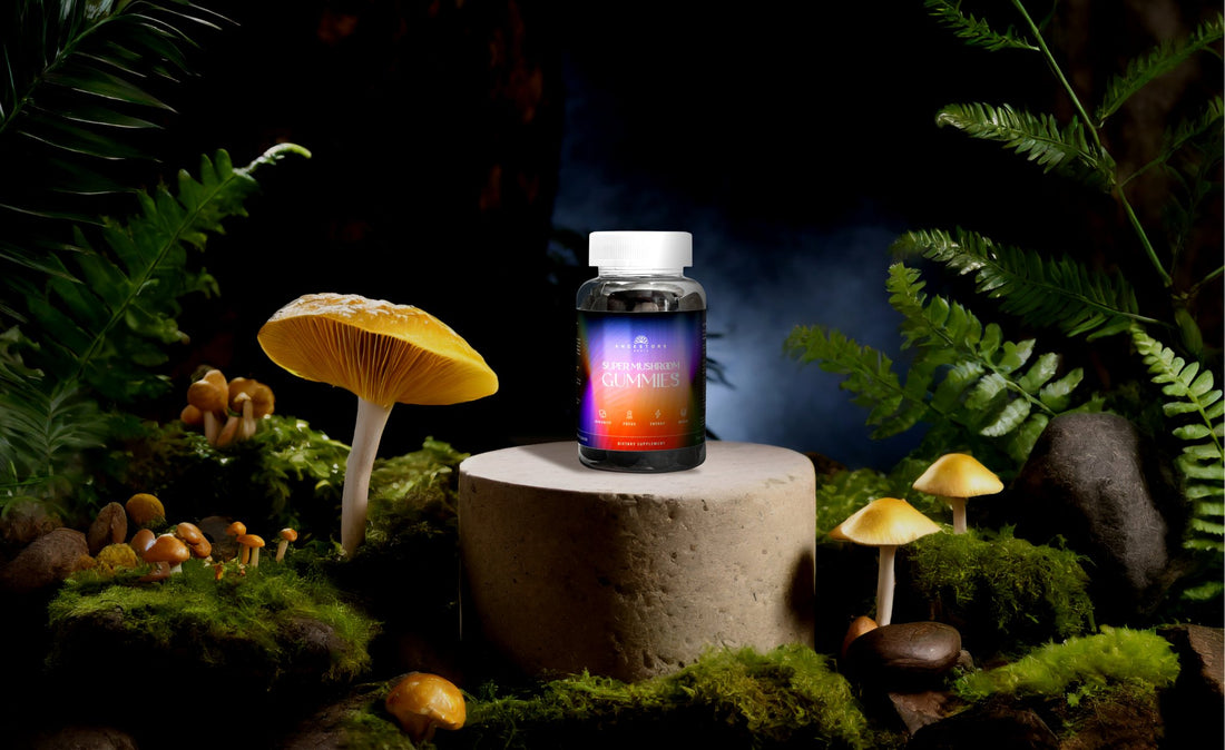 Symphony of Wellness: Harmonizing with Mushroom Gummies - Ancestorsroots