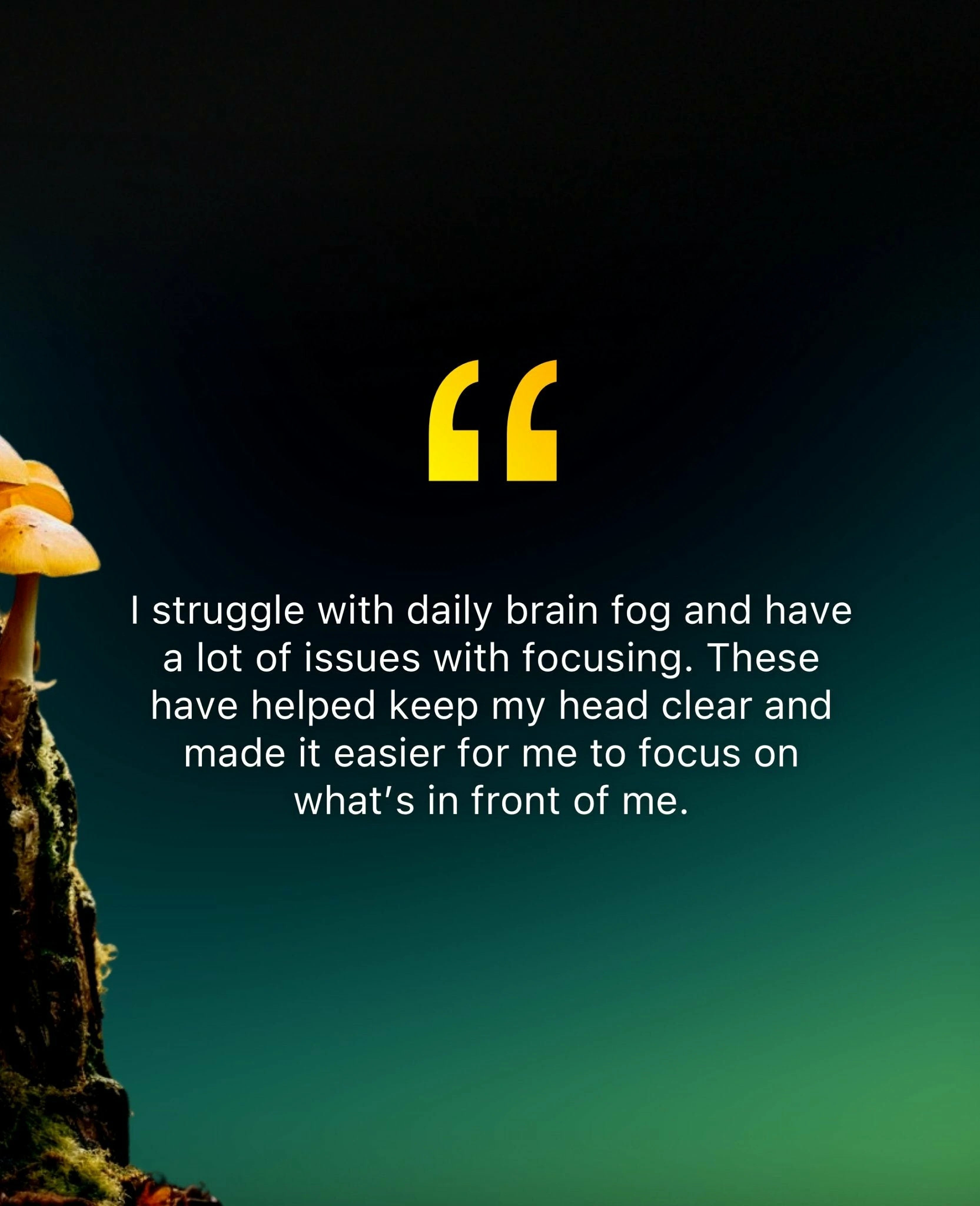 Inspirational mushroom-related quote on a graphic